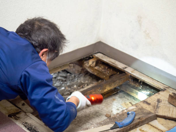 Best Water Damage Restoration  in Jennings Lodge, OR