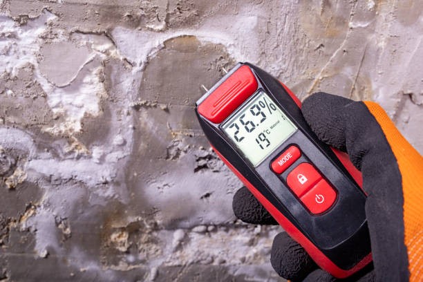 Best Mold Removal Company Near Me  in Jennings Lodge, OR