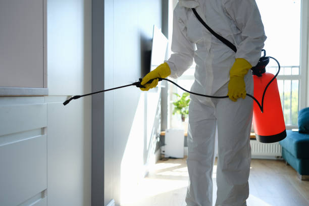 Best Fast Mold Removal  in Jennings Lodge, OR