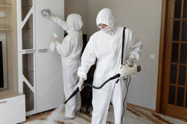 Mold Testing and Removal in Jennings Lodge, OR