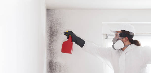 Best Attic Mold Removal  in Jennings Lodge, OR