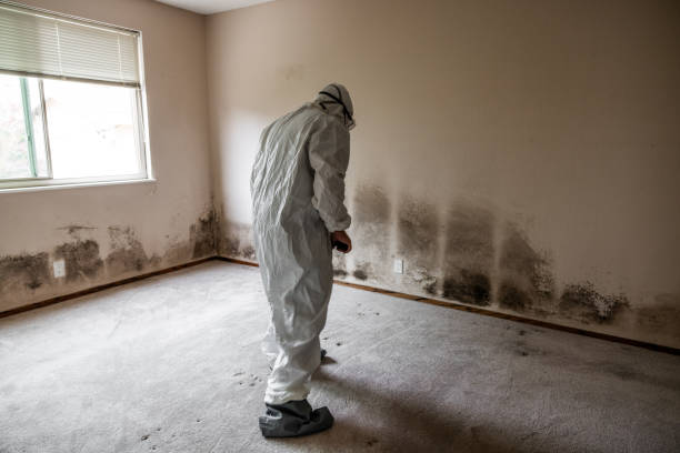 Best Mold Testing  in Jennings Lodge, OR