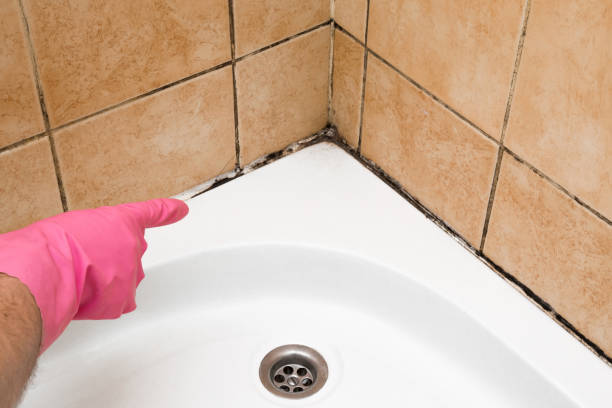 Best Commercial Mold Removal  in Jennings Lodge, OR